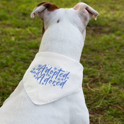 Trendy Pawsome Pet Scarf Collar 2 » Pets Impress