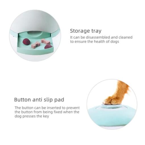 Smart Interactive Slow Feeder & Memory Trainer for Dogs 13 » Pets Impress