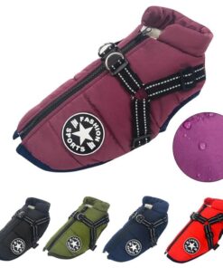 Premium Dog Jacket 14 &raquo; Pets Impress