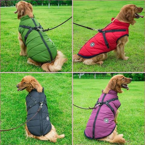 Premium Dog Jacket 25 &raquo; Pets Impress
