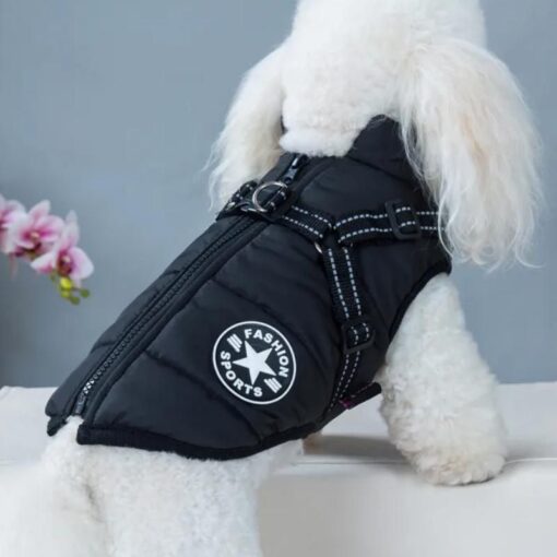 Premium Dog Jacket 1 » Pets Impress