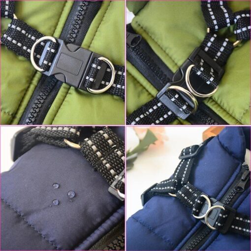 Premium Dog Jacket - Image 3