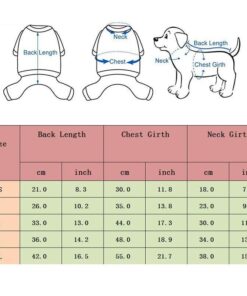Premium Dog Jacket 15 &raquo; Pets Impress
