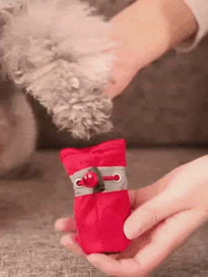 ezgif-1-d7e071d9a4 Premium Dog Shoes 30 » Pets Impress