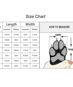 Premium Dog Shoes 25 » Pets Impress Premium Dog Shoes 24 » Pets Impress