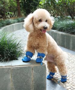 Alternative view of Premium Dog Shoes