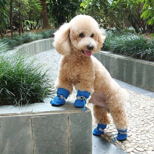 Premium Dog Shoes 3 » Pets Impress