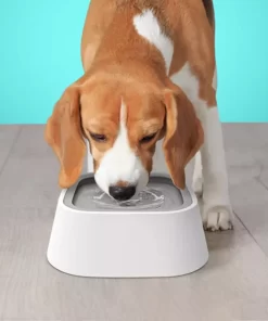 Spill-Proof & Non-Wetting 1.5L Pet Water Bowl