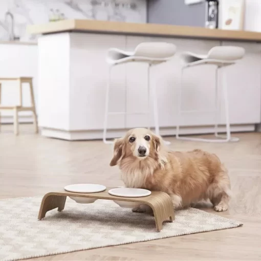 Small Elevated Pet Feeder with Ceramic Bowls - Image 7
