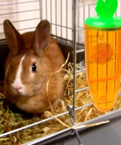 Adorable Carrot-Shaped 500ml Pet Water Dispenser 17 » Pets Impress Adorable Carrot-Shaped 500ml Pet Water Dispenser 16 » Pets Impress