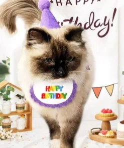 Colorful Pet Birthday Bandana & Party Hat Set for Cats and Dogs 13 » Pets Impress Colorful Pet Birthday Bandana & Party Hat Set for Cats and Dogs 12 » Pets Impress
