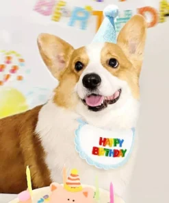 Colorful Pet Birthday Bandana & Party Hat Set for Cats and Dogs 14 » Pets Impress