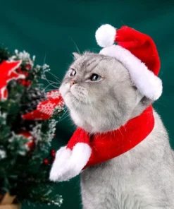 Velvet Christmas Santa Hat & Scarf Set for Pets 16 » Pets Impress Velvet Christmas Santa Hat & Scarf Set for Pets 15 » Pets Impress