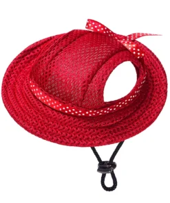 Pets Dog Hat with Ear Holes 14 &raquo; Pets Impress